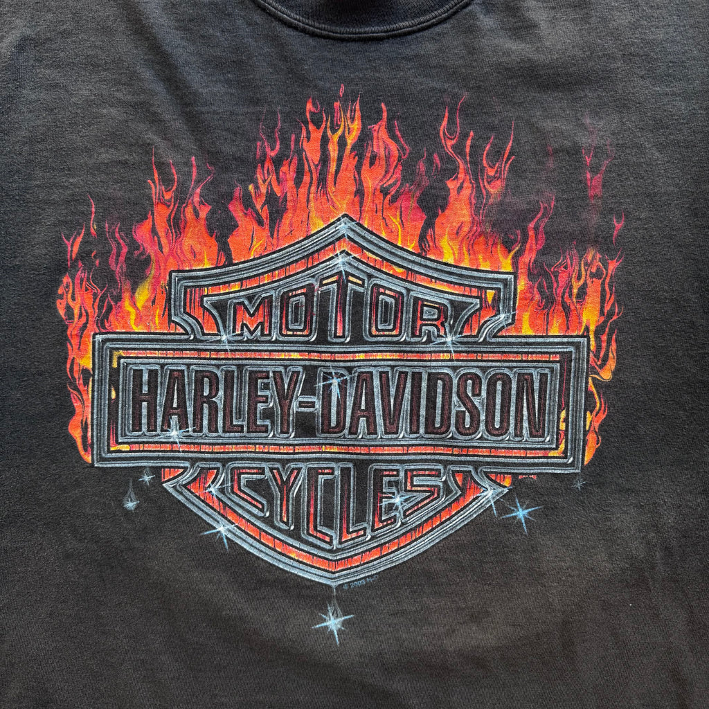 90s HARLEY FLAMES FORT WORTH - L