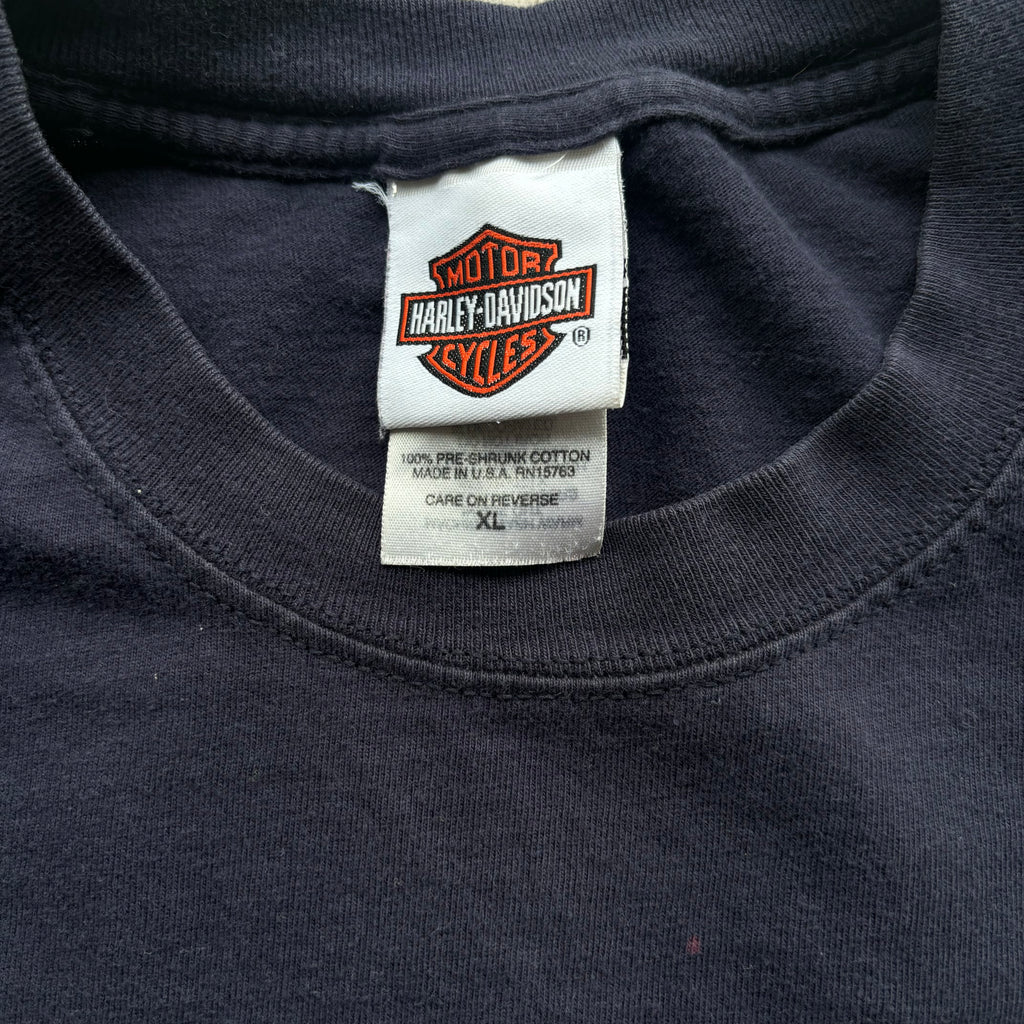 90s HARLEY BLUE FLAMES STURGIS LS TEE - XL