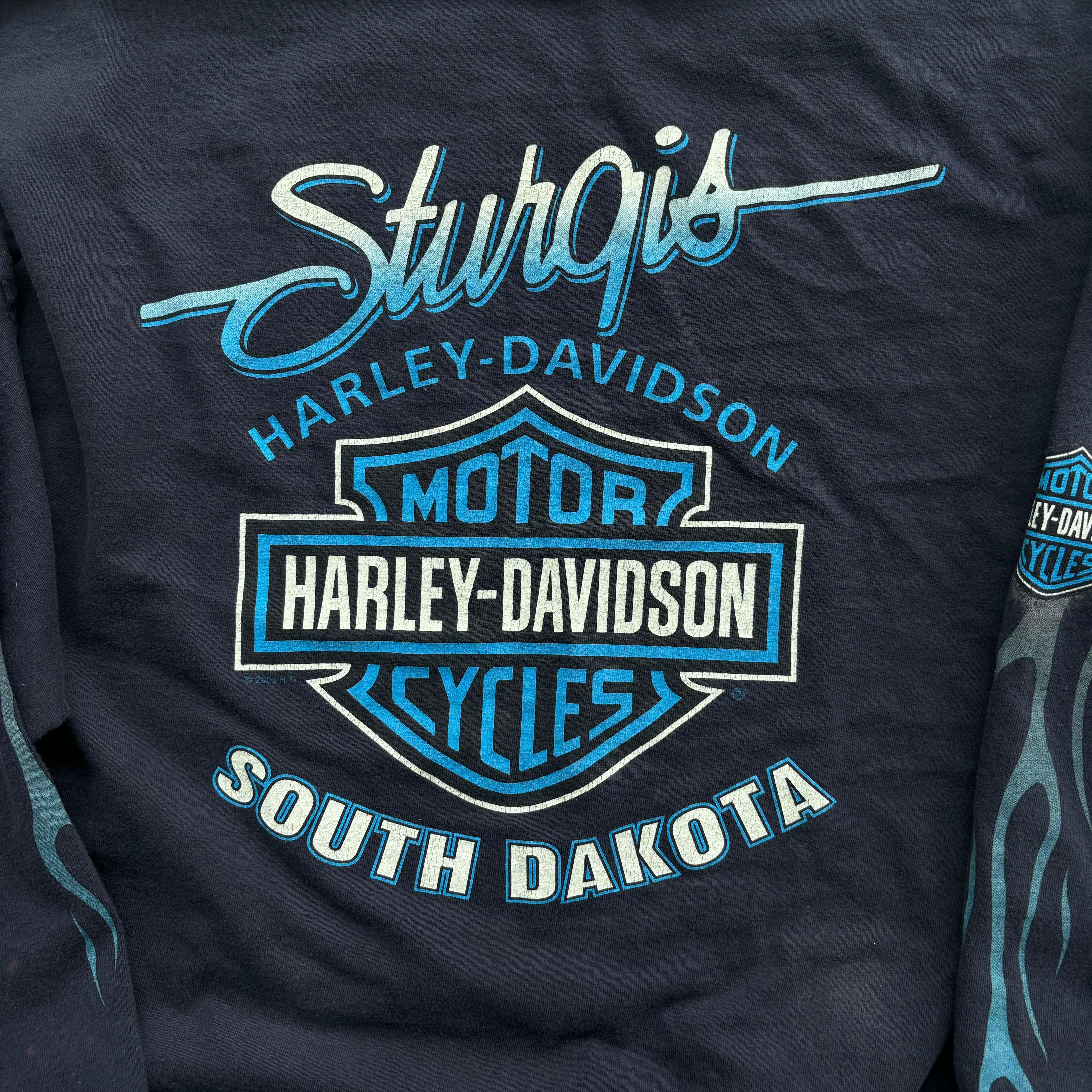 90s HARLEY BLUE FLAMES STURGIS LS TEE - XL