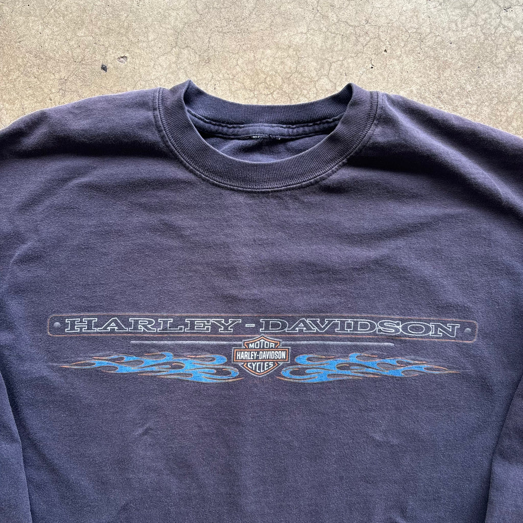90s HARLEY BLUE FLAMES LS COLORADO - L