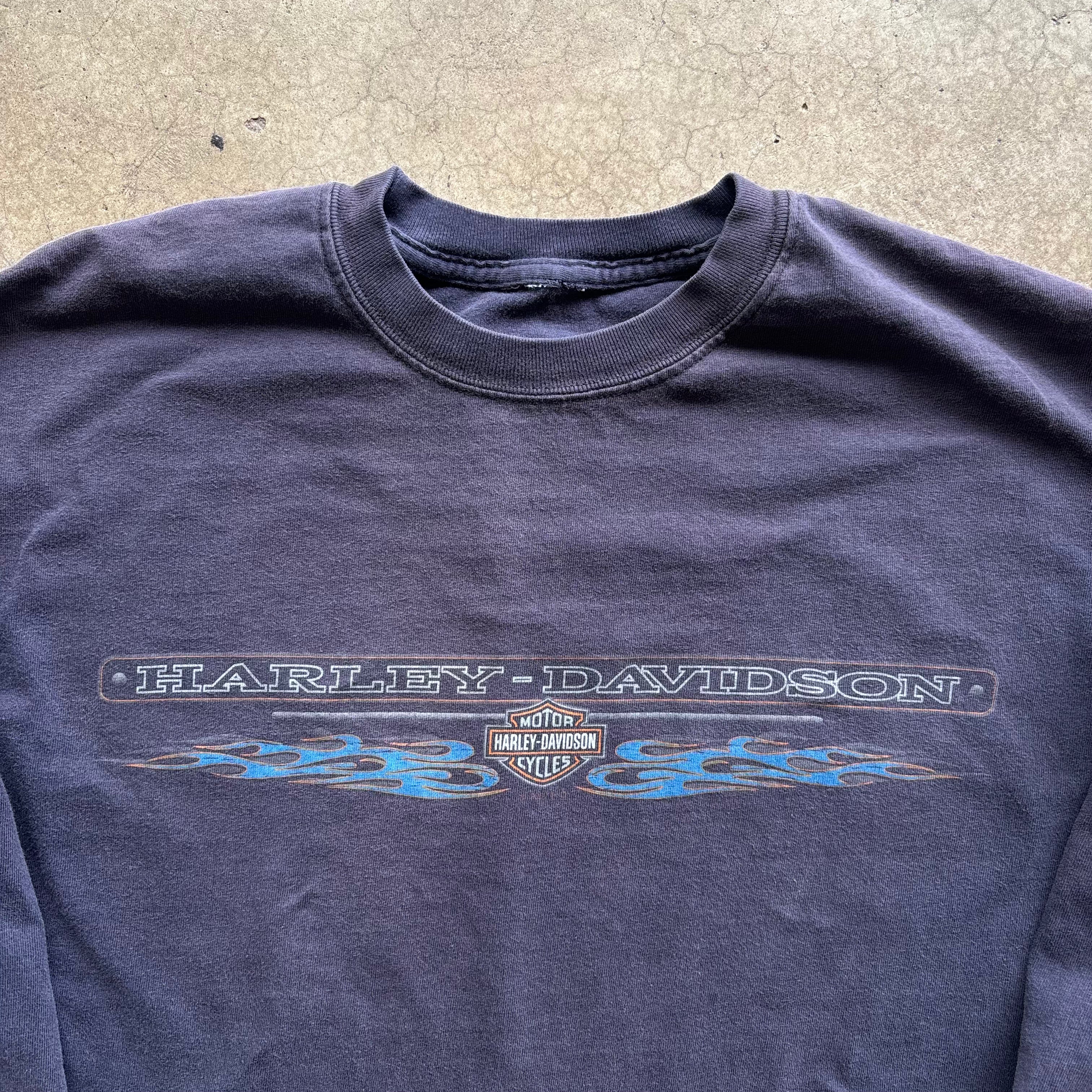 90s HARLEY BLUE FLAMES LS COLORADO - L