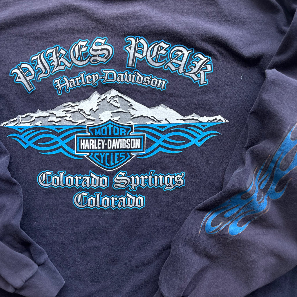 90s HARLEY BLUE FLAMES LS COLORADO - L