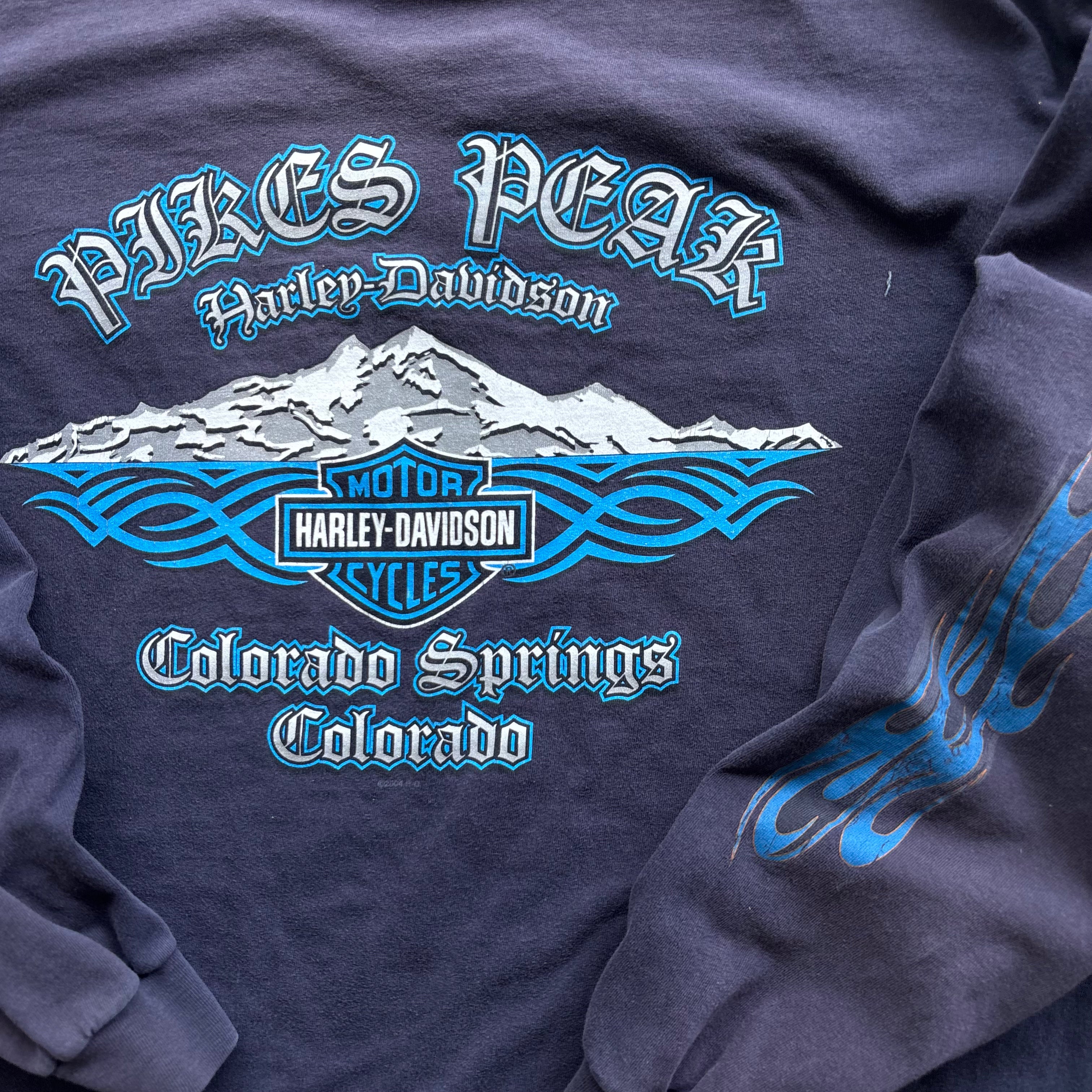 90s HARLEY BLUE FLAMES LS COLORADO - L