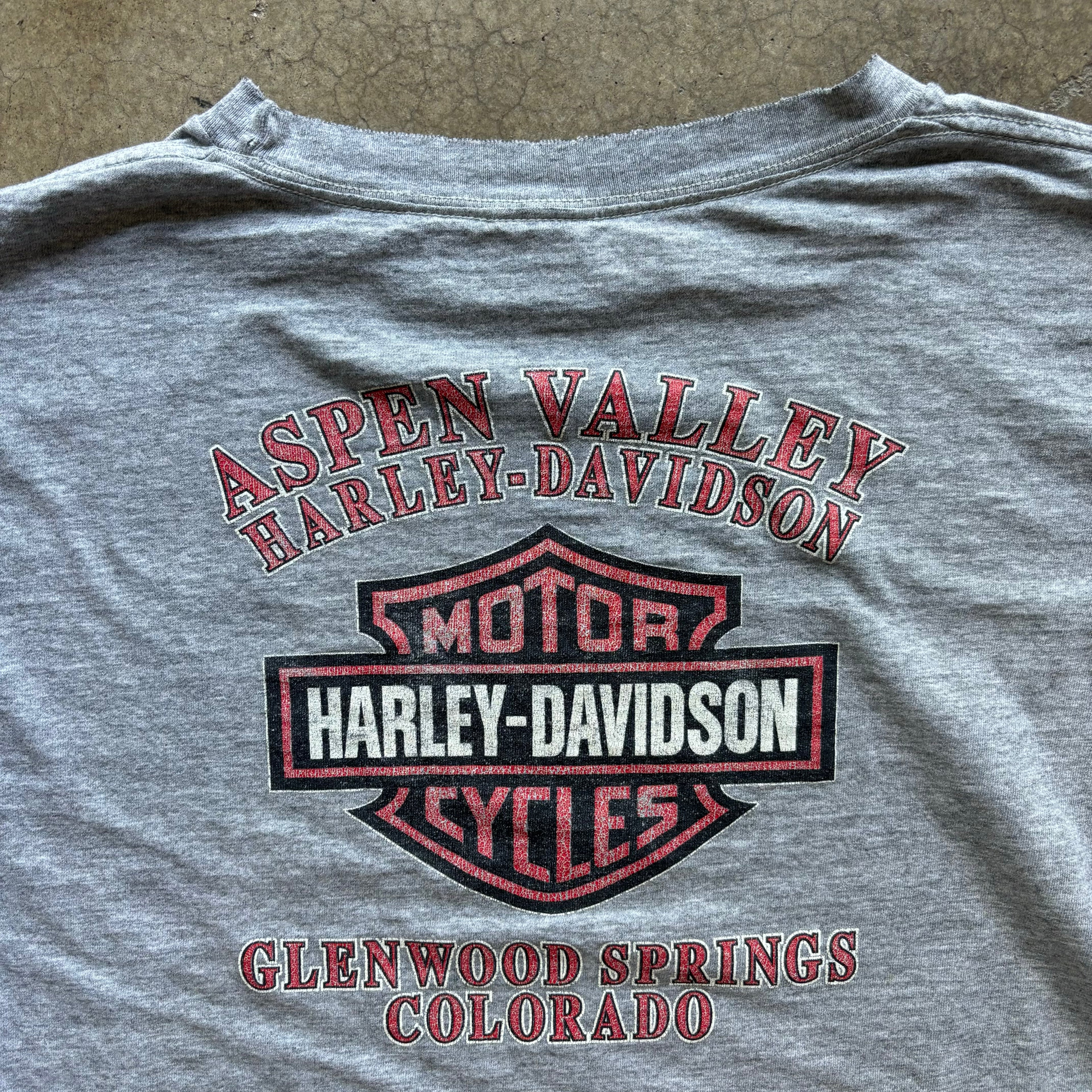 90s HARLEY RACING LONGSLEEVE TEE - XL