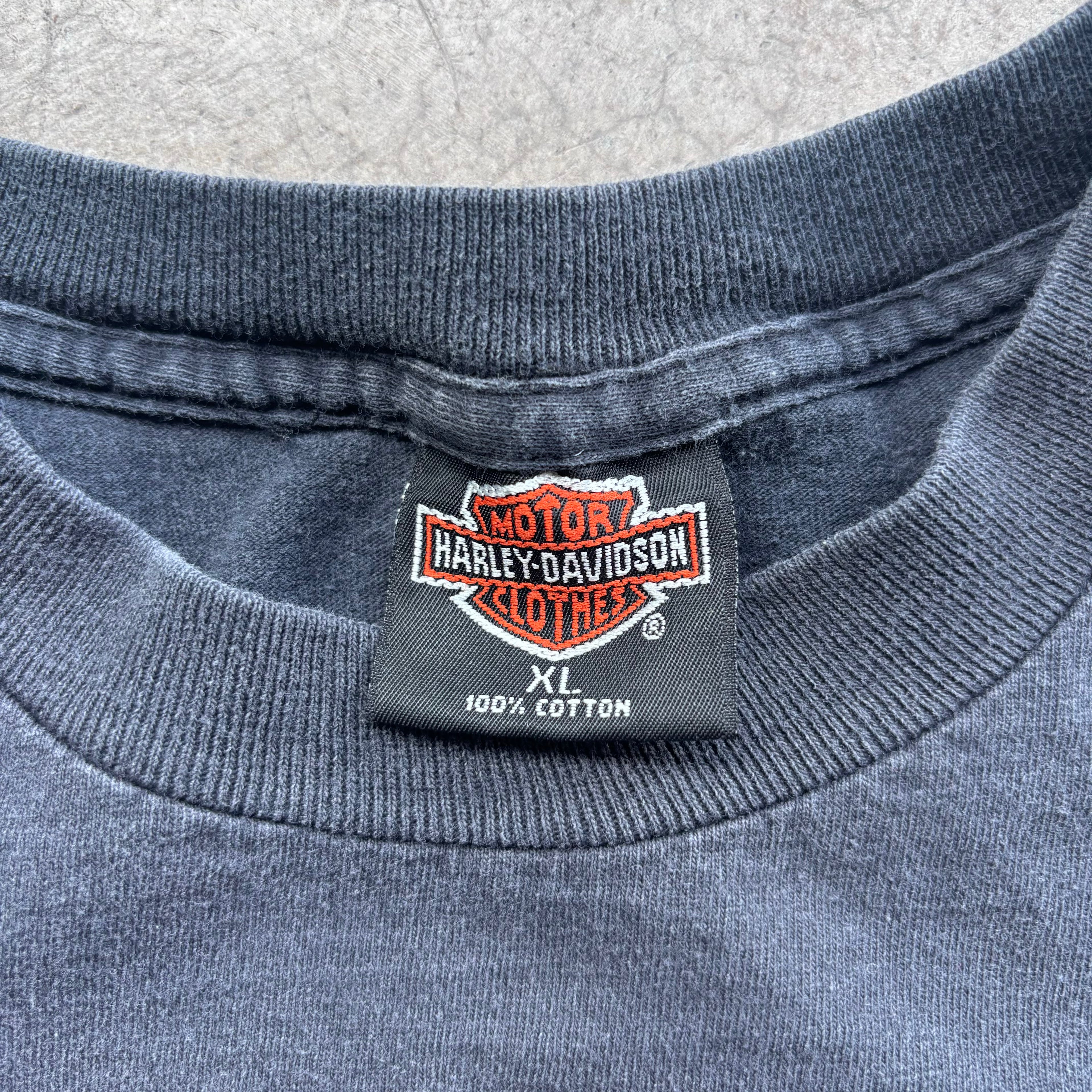 90s HARLEY STURGIS TEE - XL