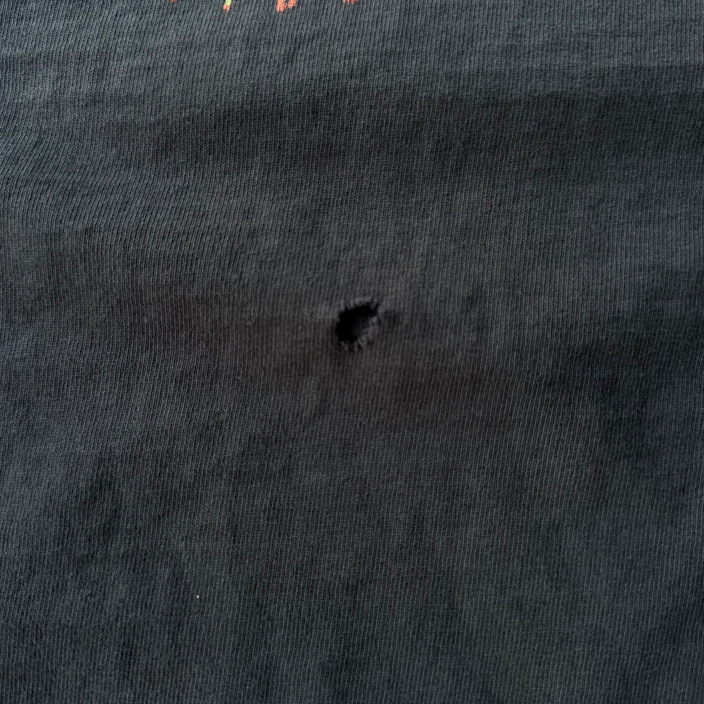 00S HARLEY DAVIDSON AZ FLAME LONG SLEEVE TEE - L