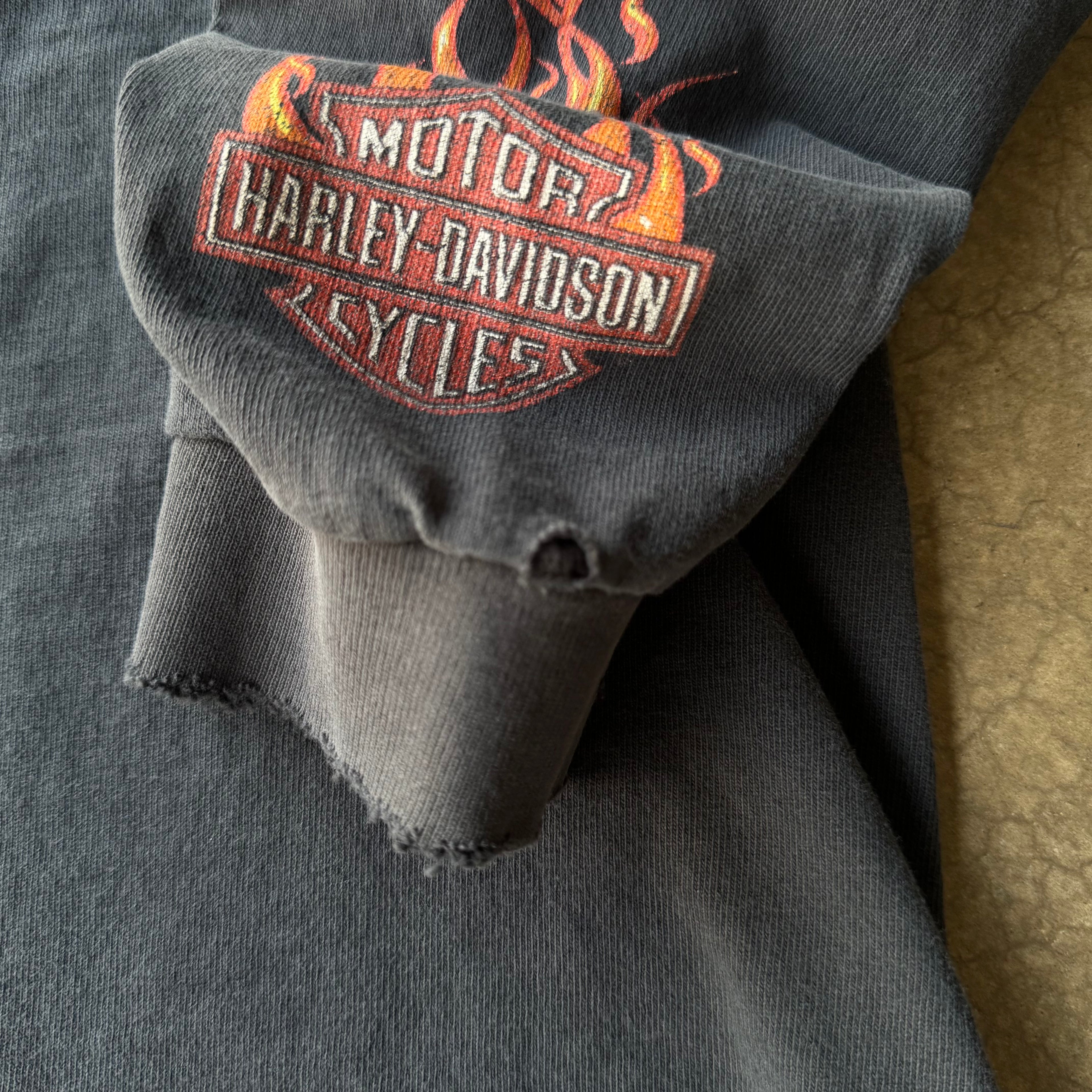 00S HARLEY DAVIDSON AZ FLAME LONG SLEEVE TEE - L