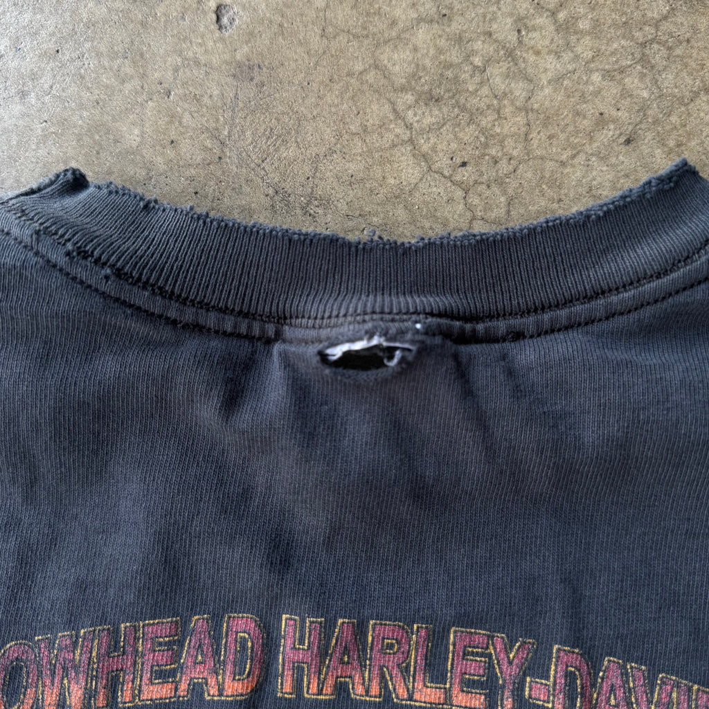 00S HARLEY DAVIDSON AZ FLAME LONG SLEEVE TEE - L