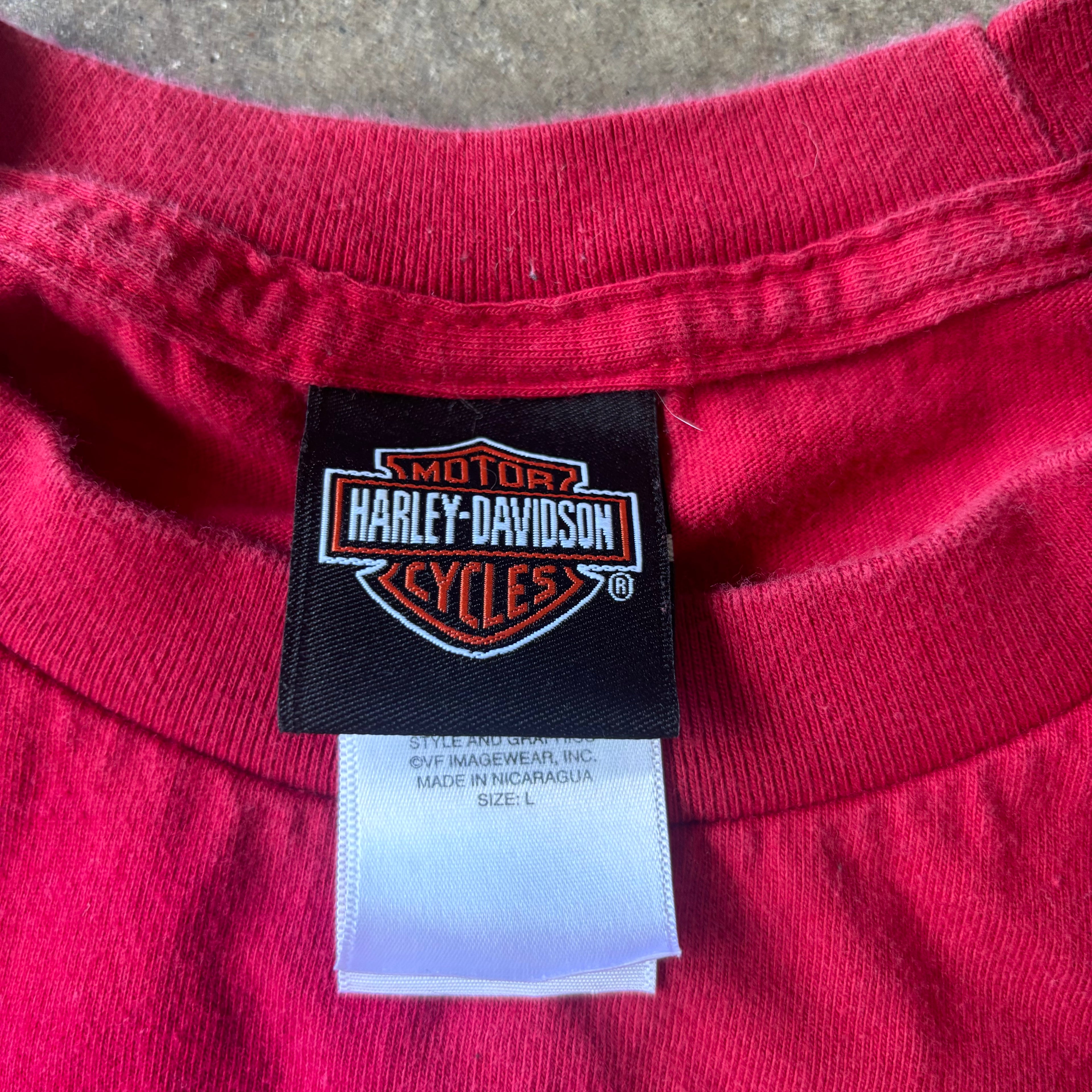 00s HARLEY DAVIDSON DAYTONA LS - L